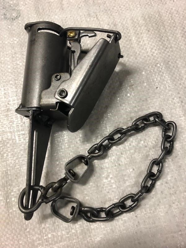 Freedom Brand FB1 DP Coon Trap
