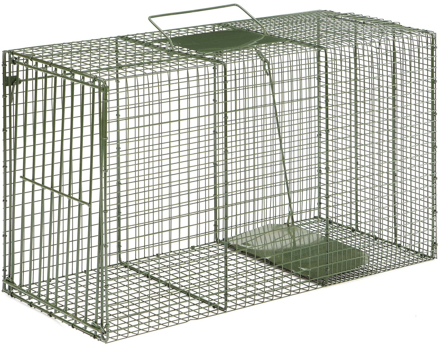 Bobcat Cages 36x15x20