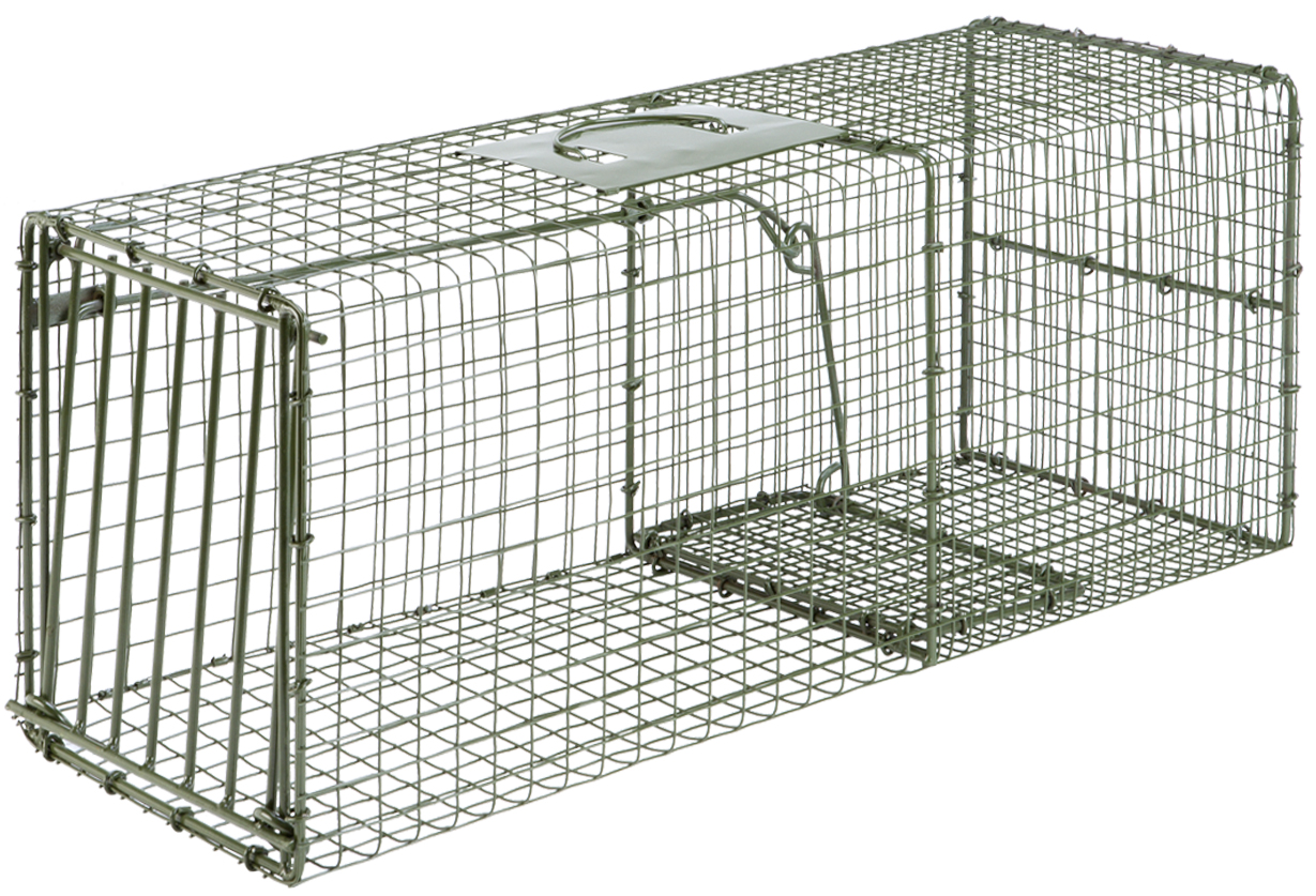 Bridger HD Cage Live Trap - Bobcat